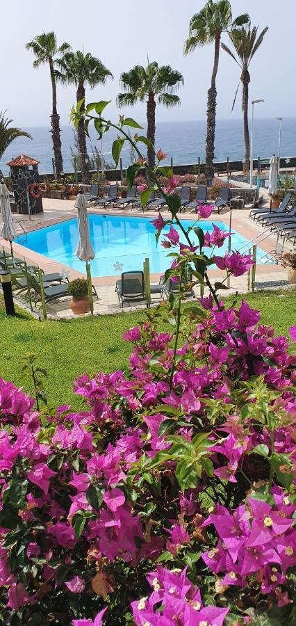 Apartamentos Casas Carmen - Adults Only بلايا ديل إنغلز المظهر الخارجي الصورة